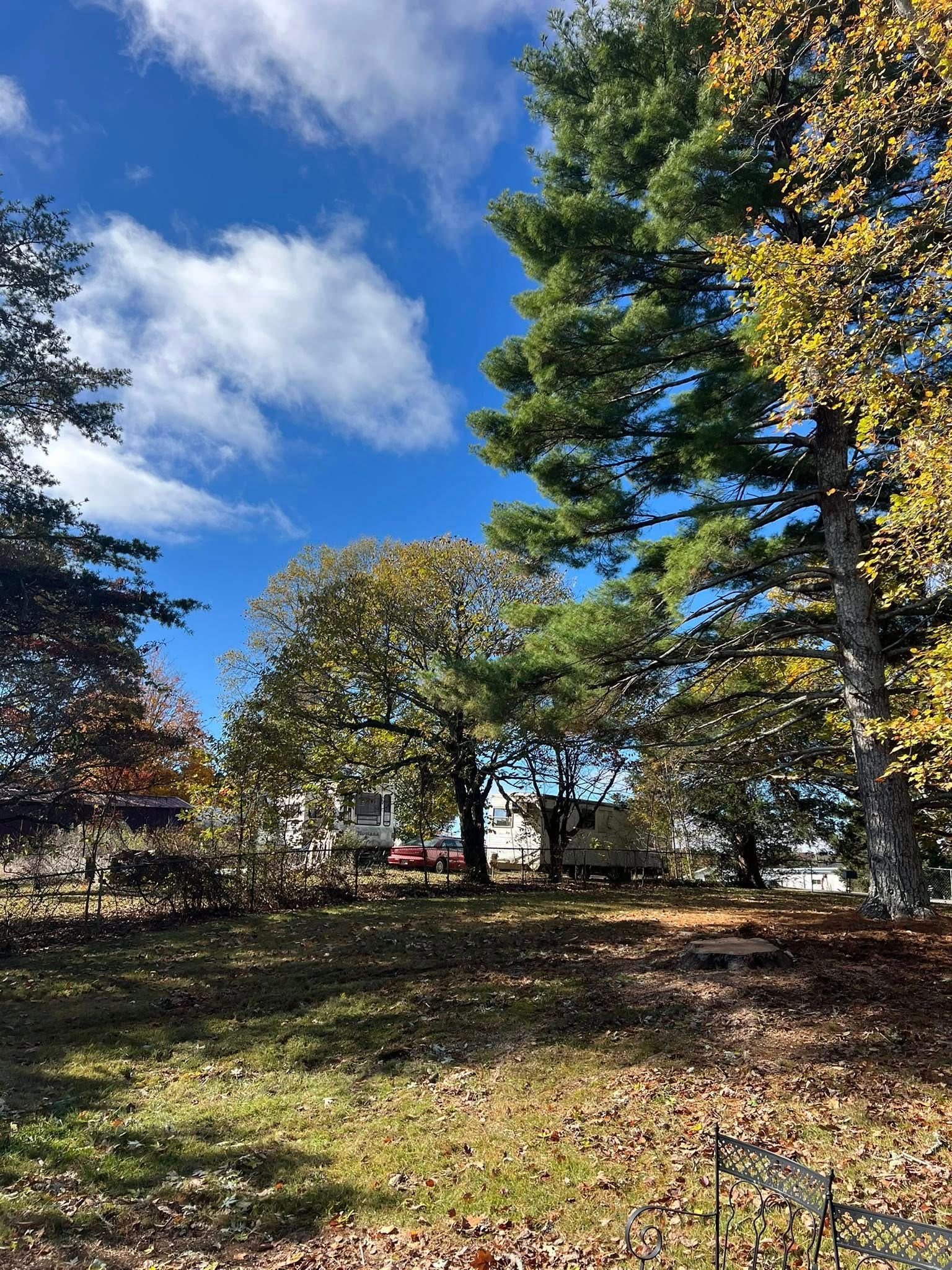 A grassy, leaf-covered yard under a blue sky with clouds, featuring several mature trees and campers in the background.