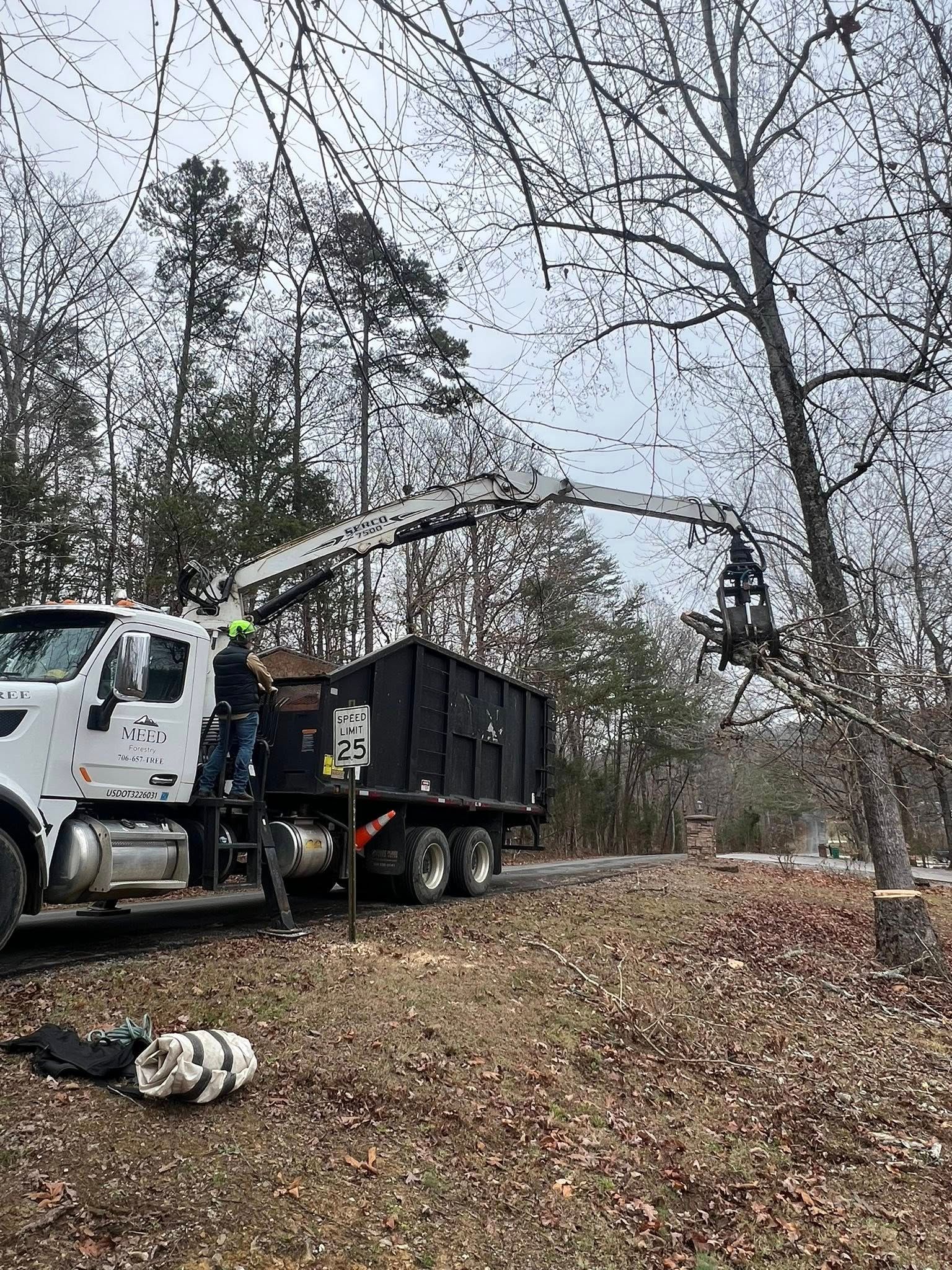 A truck with a mechanical grapple arm reaches toward a tree in a wooded area while a person stands on the vehicle’s step.