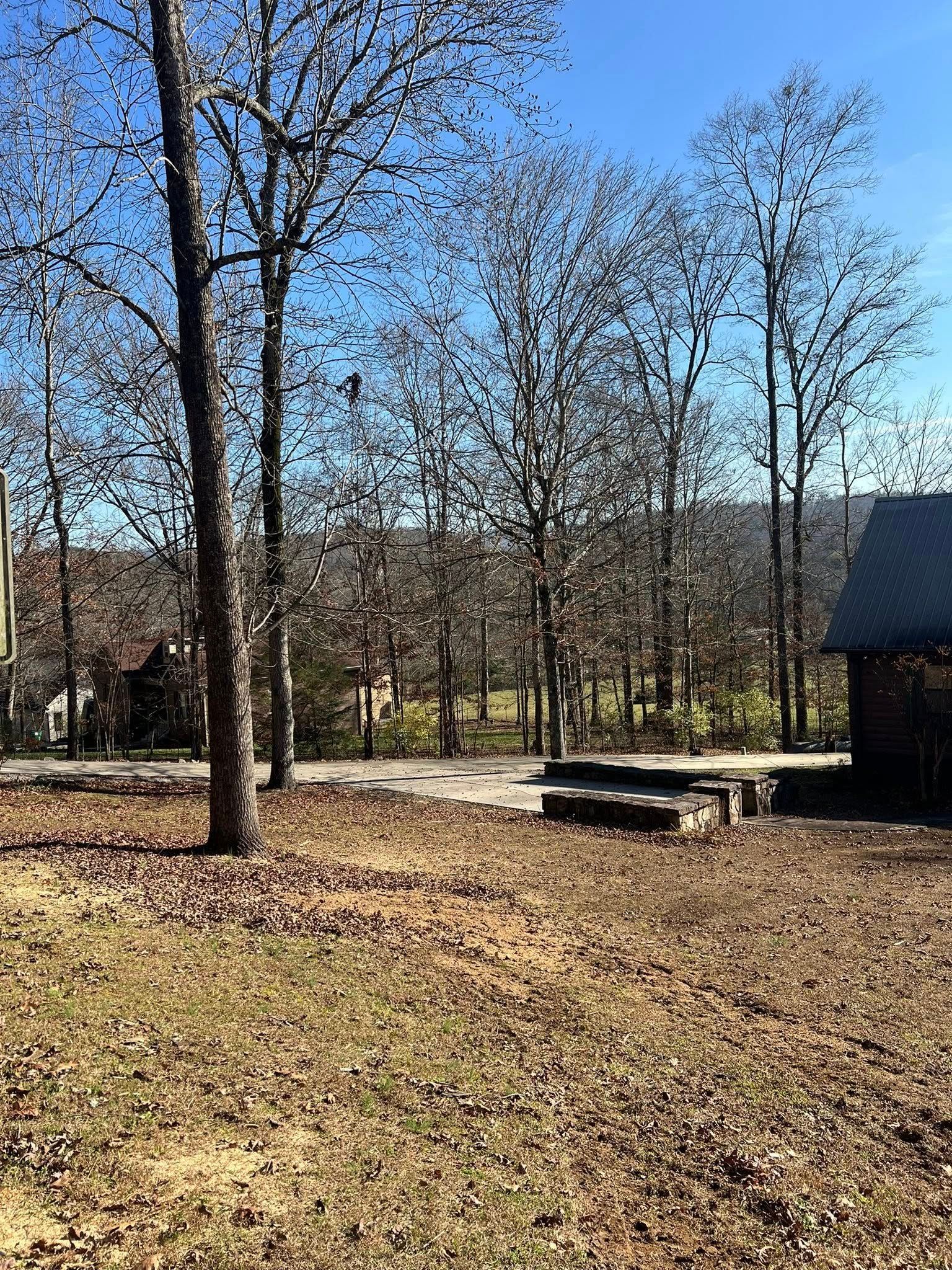 A sunny, leafless forest landscape with a rustic cabin visible on the right and another house in the distance.