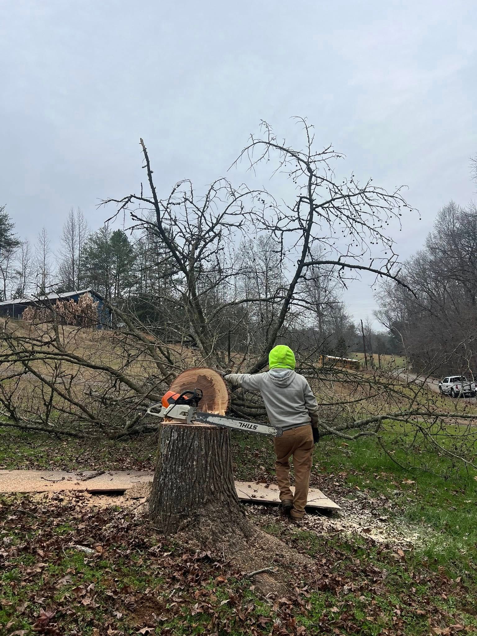 A person in a bright neon green hat and gray hoodie stands by a tree stump with a chainsaw in a grassy, wooded area.