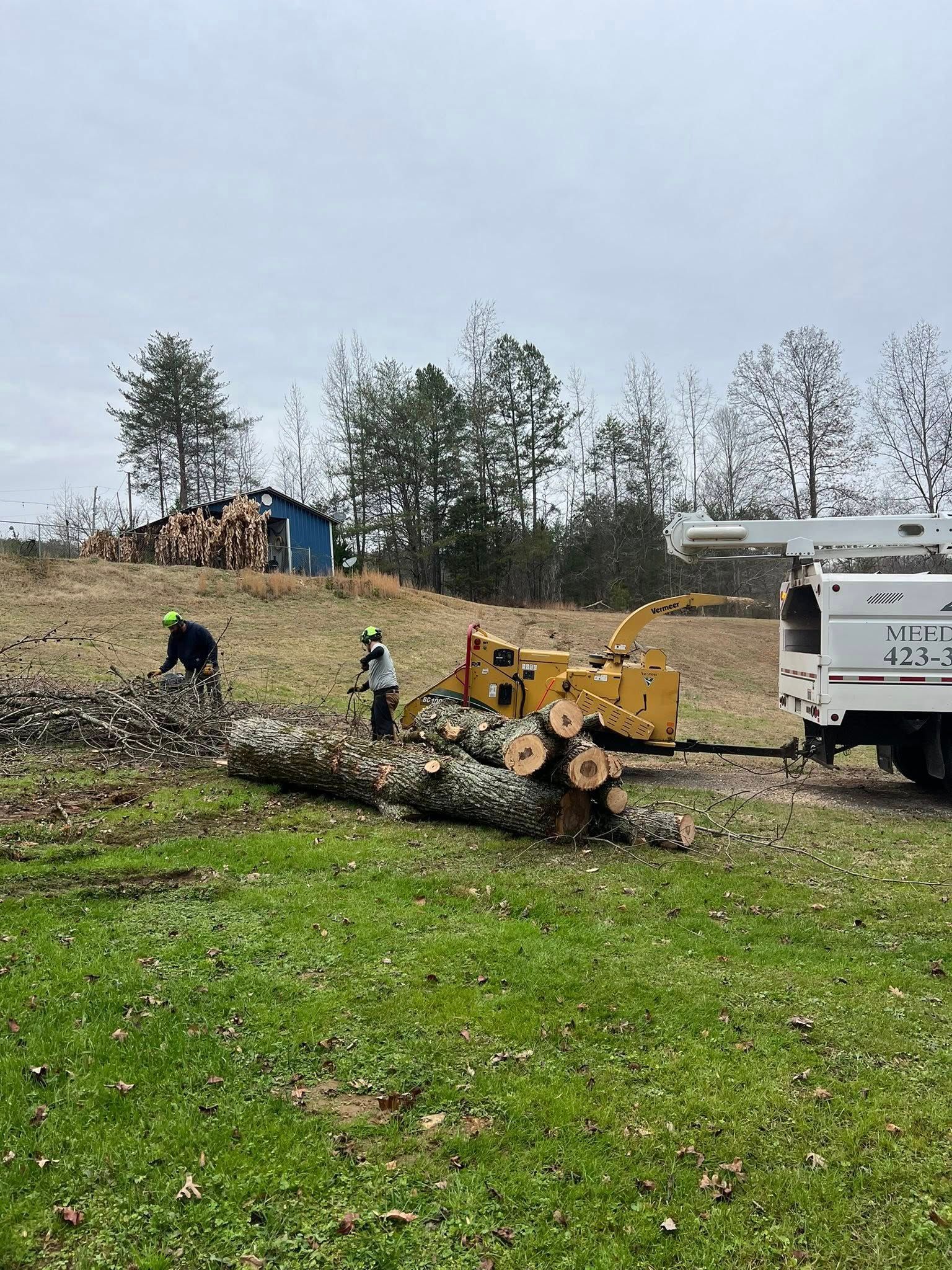 Two workers in safety gear process fallen logs with a wood chipper and truck in a field near a storage shed.