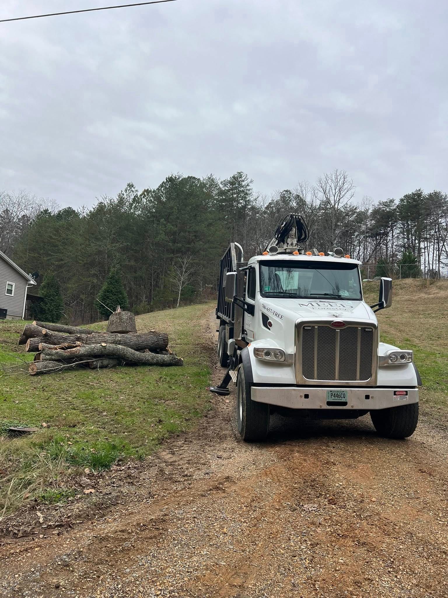 A white crane truck parked on a gravel path near a pile of logs in a field with trees in the background.