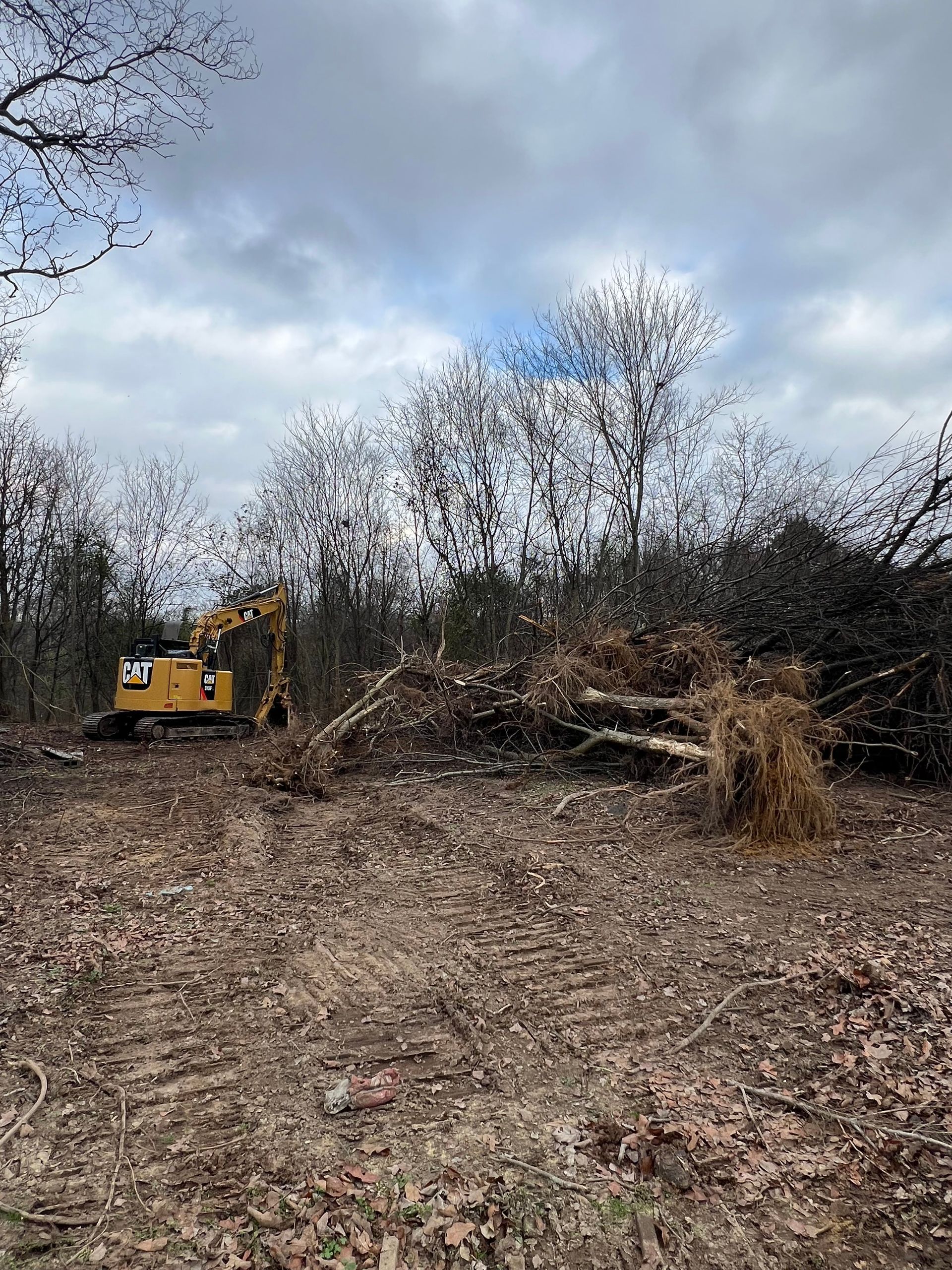 A yellow excavator clears fallen trees and brush in a wooded area under a cloudy sky.