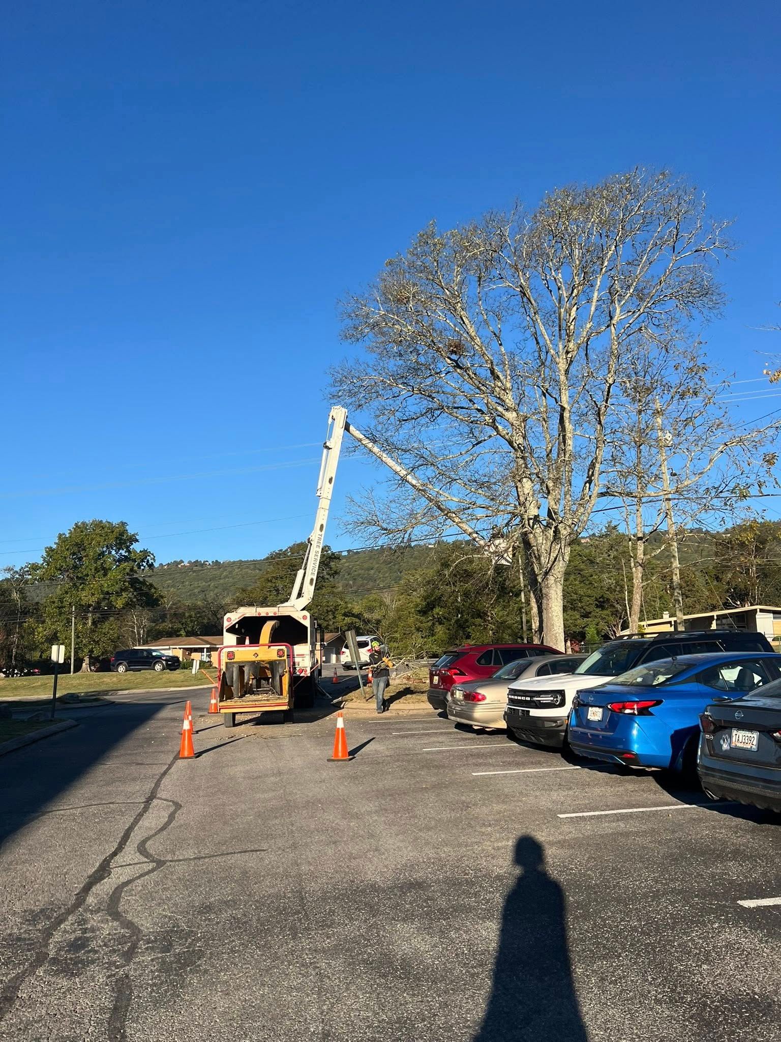 A cherry picker truck parked in a parking lot, with its extended lift arm positioned near a bare tree under a clear sky.