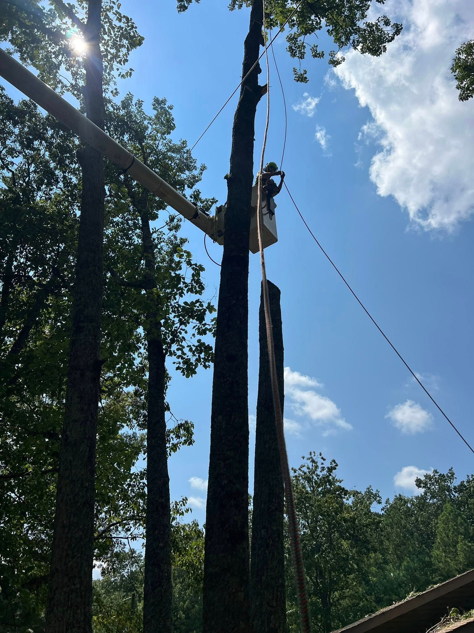 A worker in a bucket truck lift prunes a tall tree against a sunny blue sky with scattered clouds.