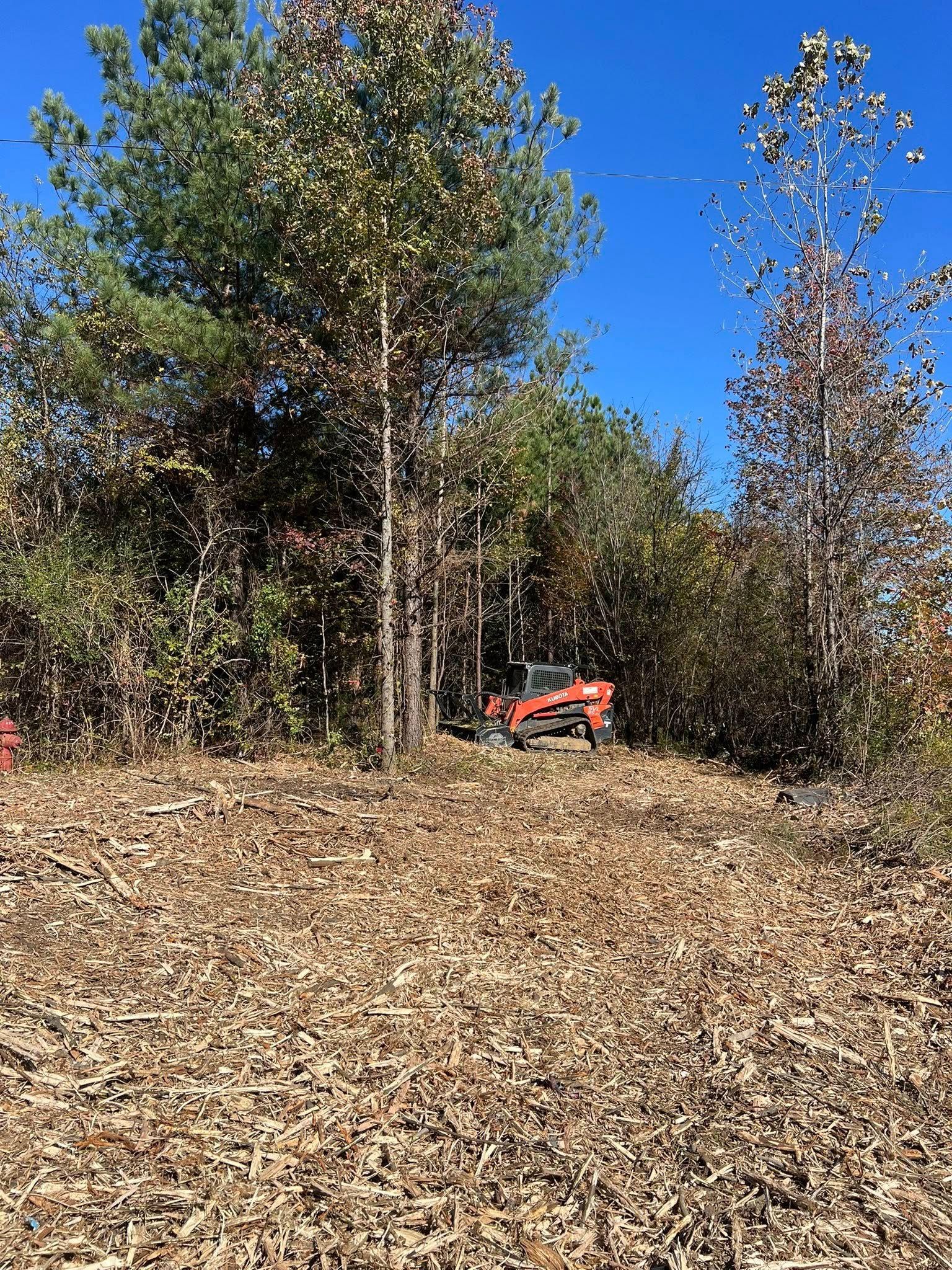 An orange skid steer works in a field of wood chips in front of a line of trees under a clear blue sky.
