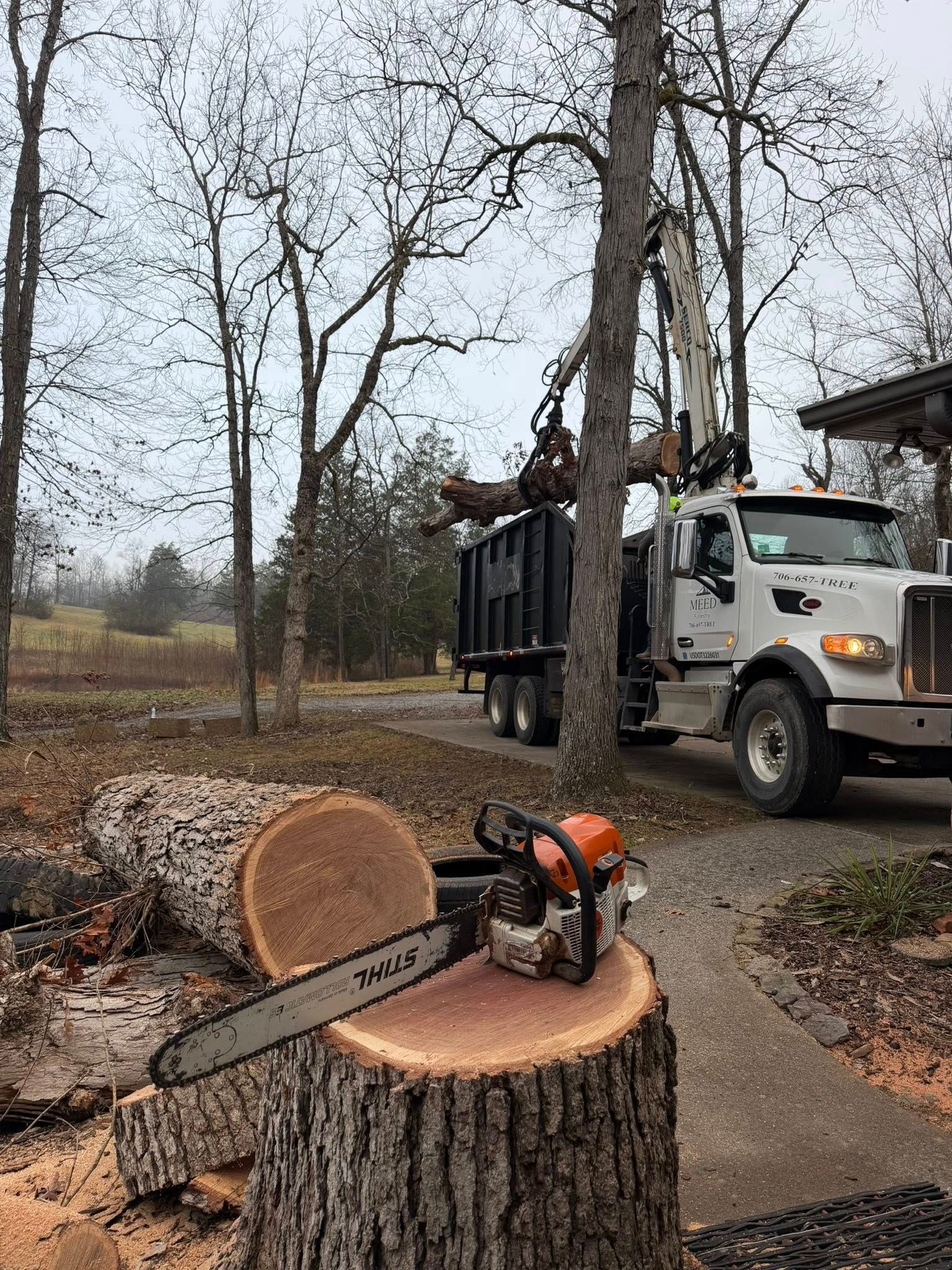 A chainsaw rests on a large tree stump in the foreground, while a grapple truck removes logs from the site behind it.