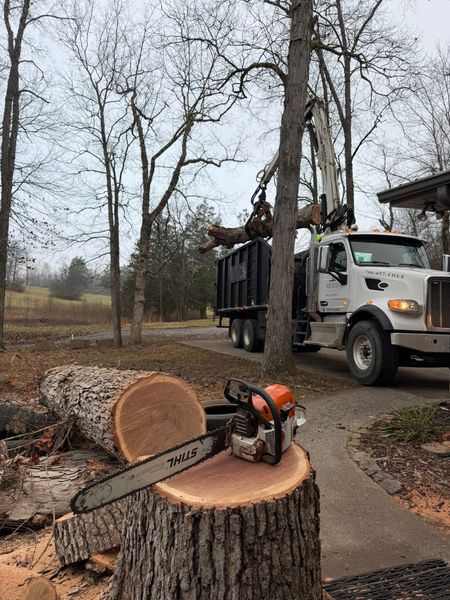 A white grapple truck lifting a log into a dump trailer near a freshly cut tree stump with a chainsaw resting on it.