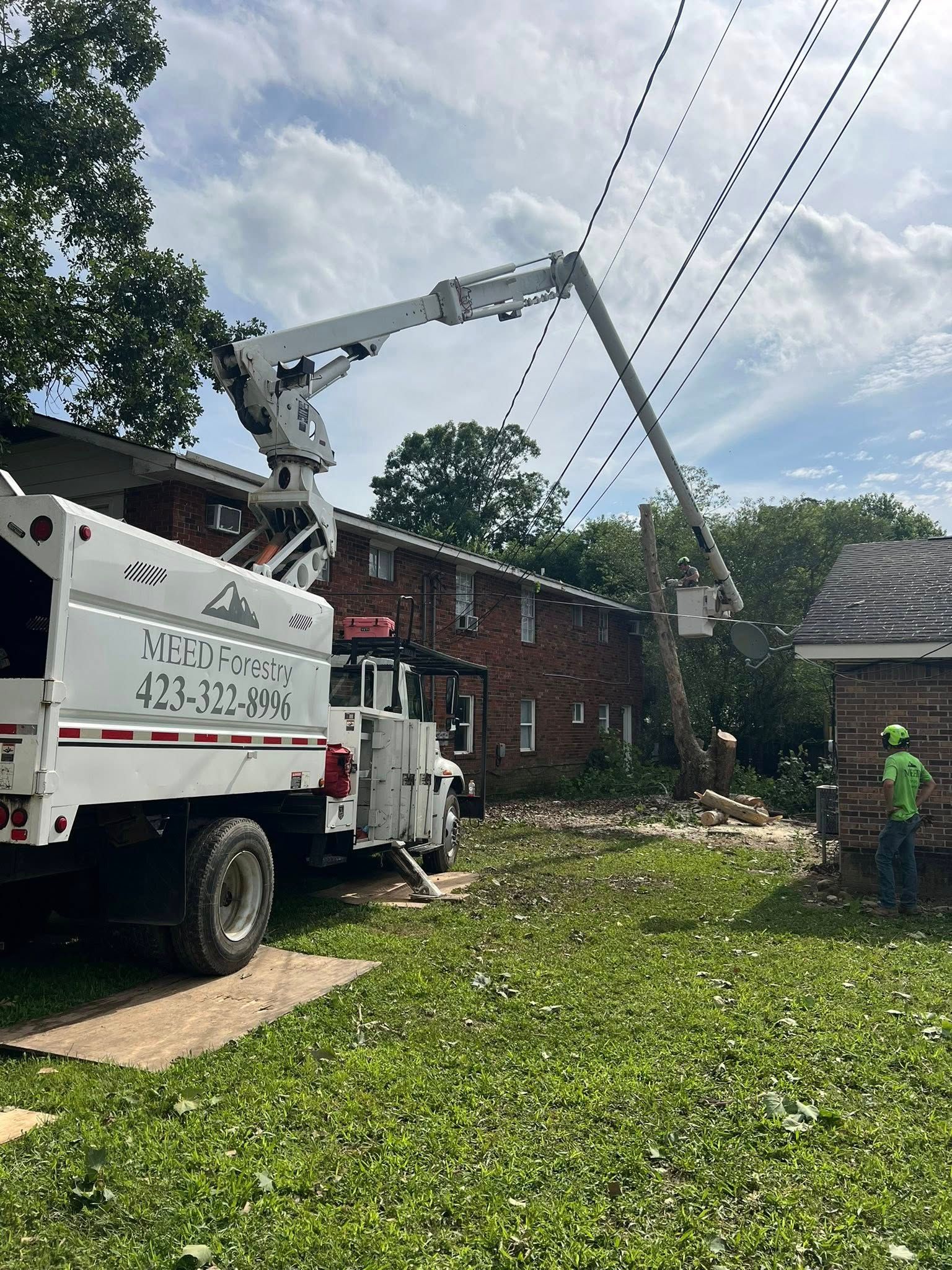 A white utility truck with an extended boom bucket crane performing tree work near a building and power lines.