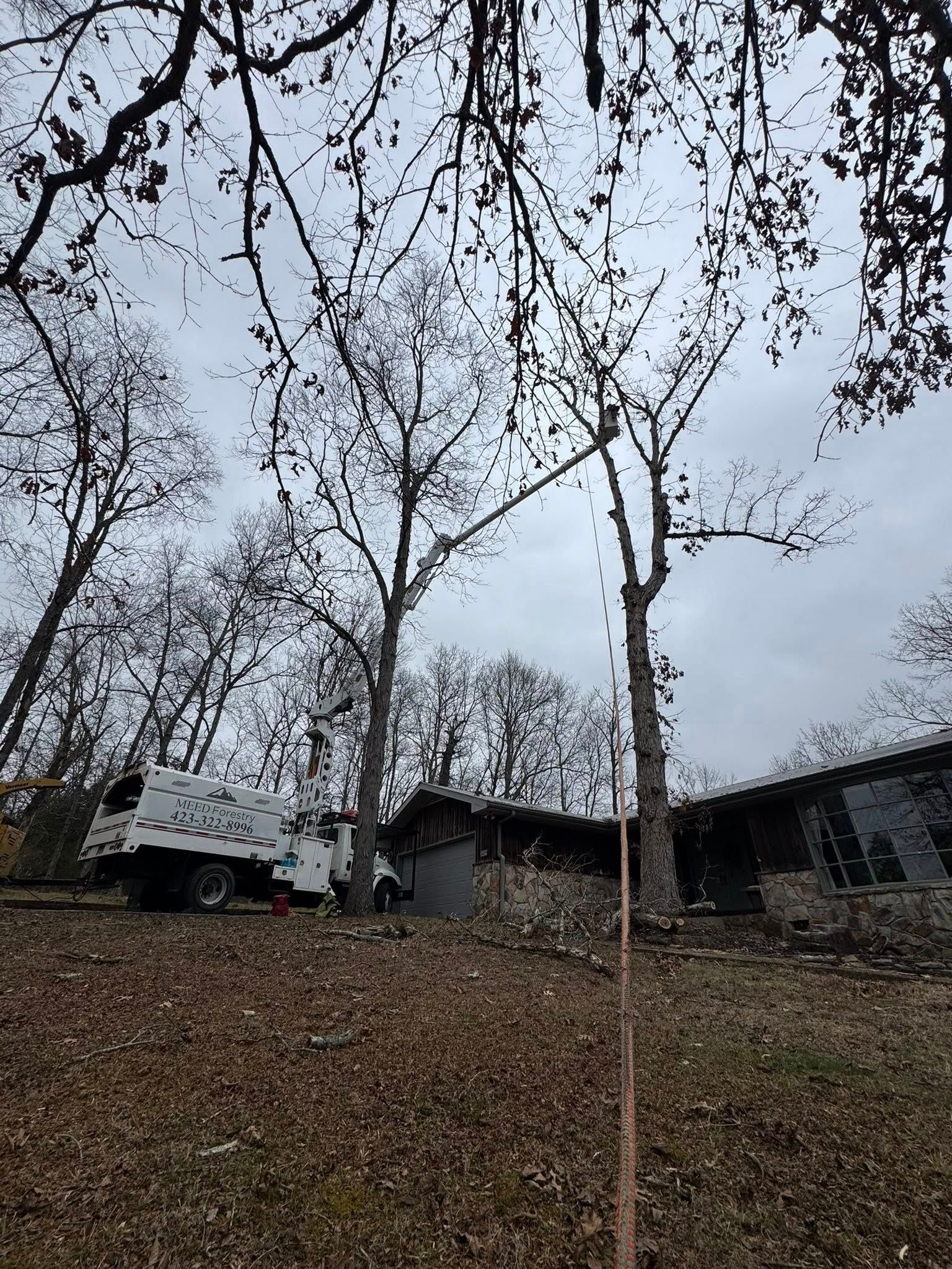 A white bucket truck is parked near a house with bare trees, during a tree trimming project.