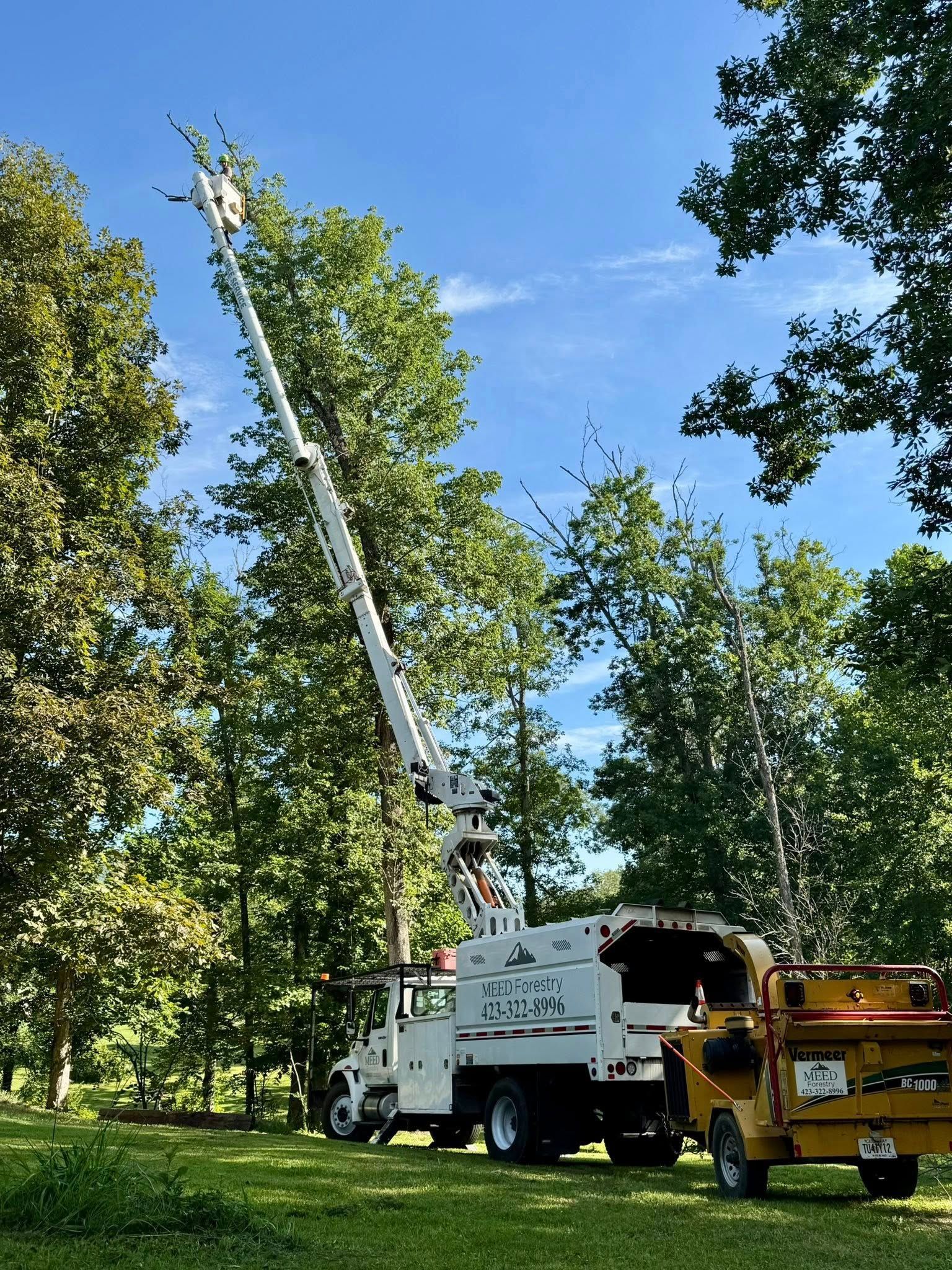 A white utility truck with an extended boom lift operating in a tree-lined, grassy outdoor setting under a clear sky.