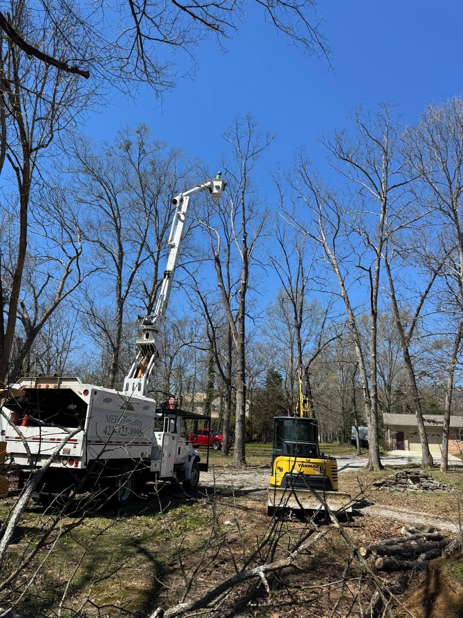 A white bucket truck and a yellow excavator work in a wooded area on a sunny day with clear blue skies.