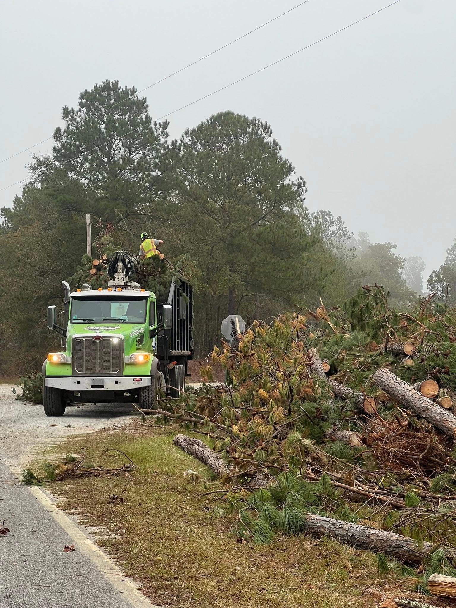 A bright green utility truck with a crane arm operates in a forested area, clearing fallen tree branches from a roadside.