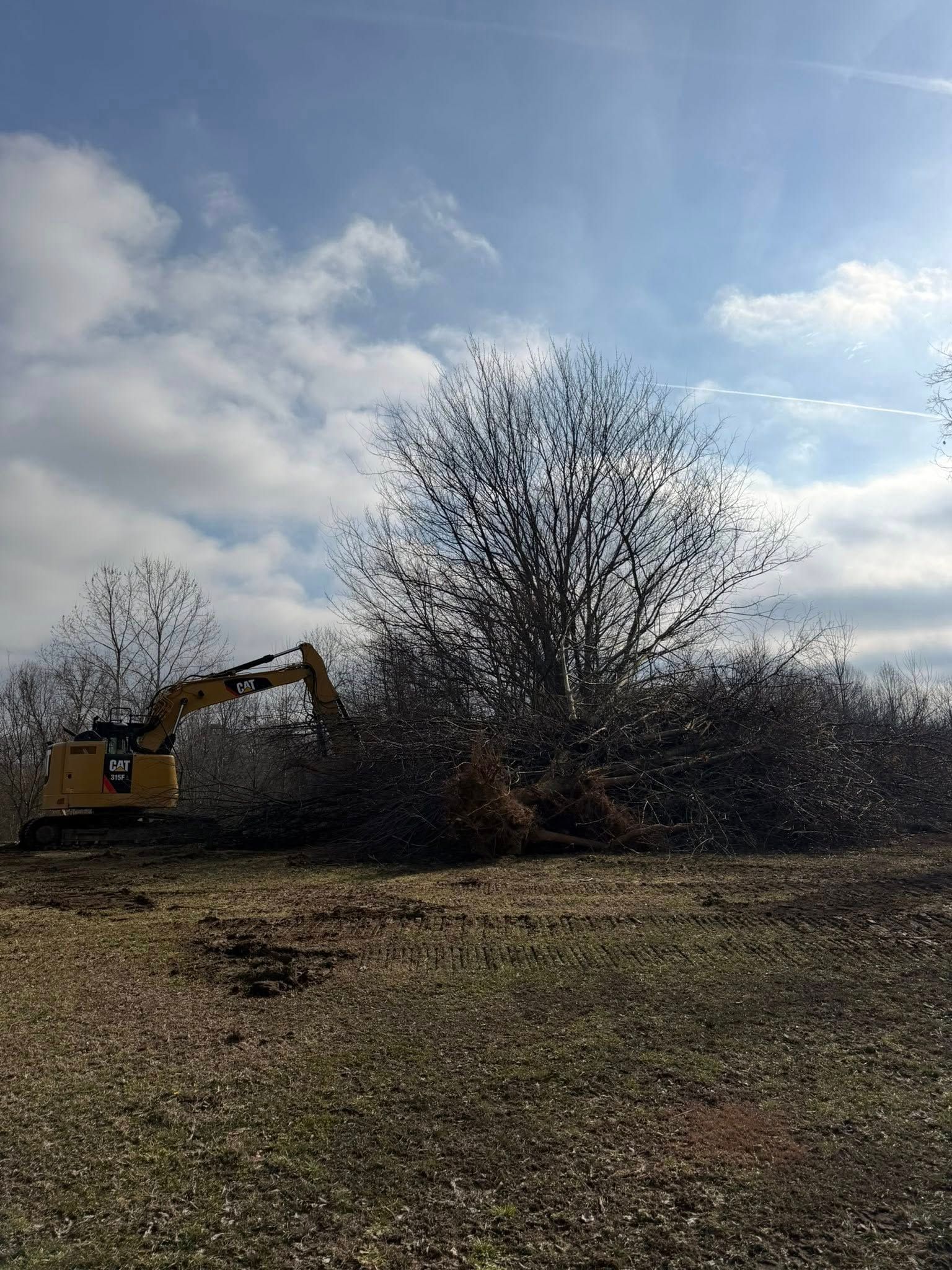 A yellow excavator clears brush and small trees from a grassy, sunlit field under a cloudy blue sky.