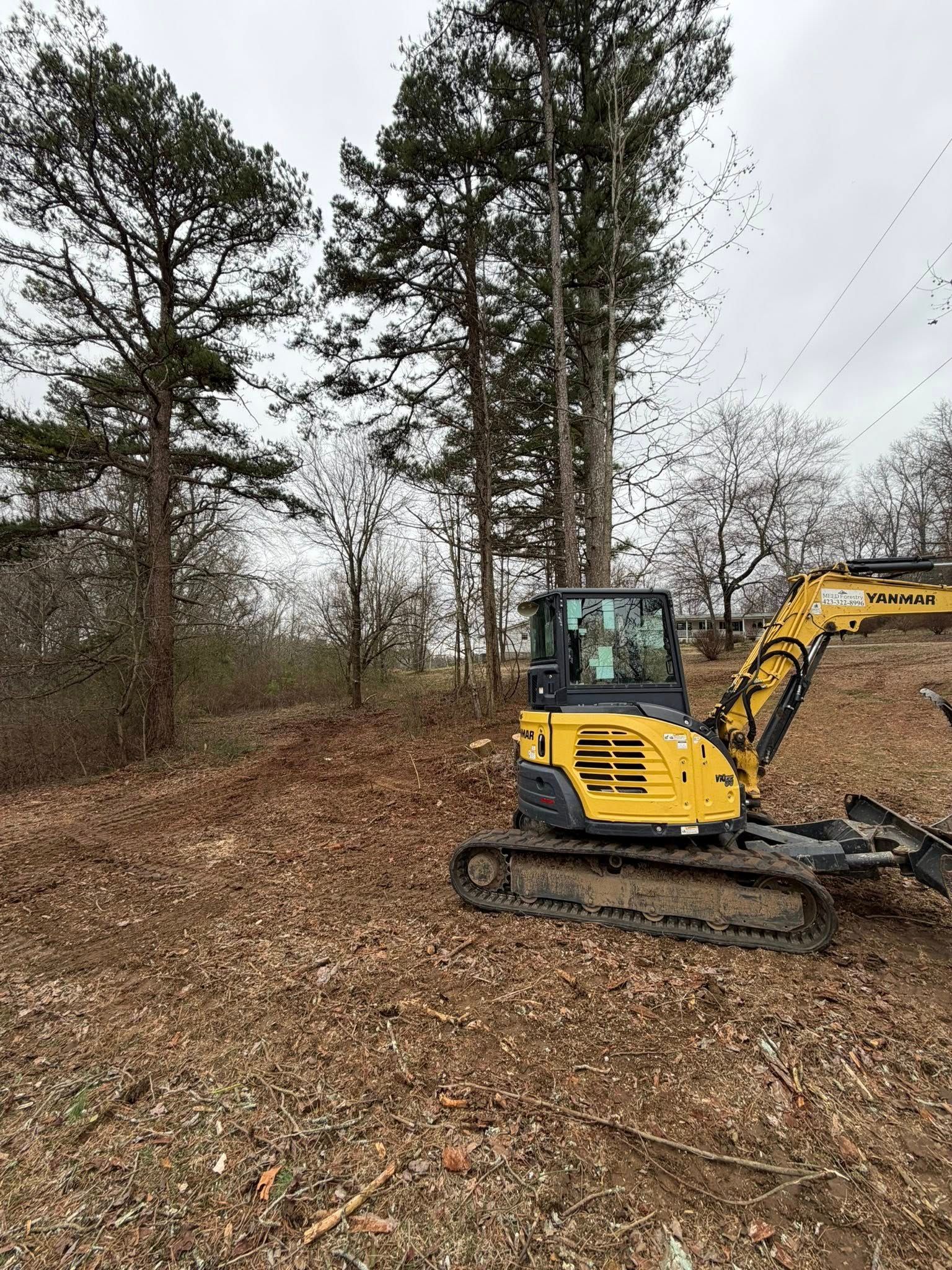 A yellow compact excavator parked on a clearing of brown forest leaves near tall pine trees under a cloudy sky.