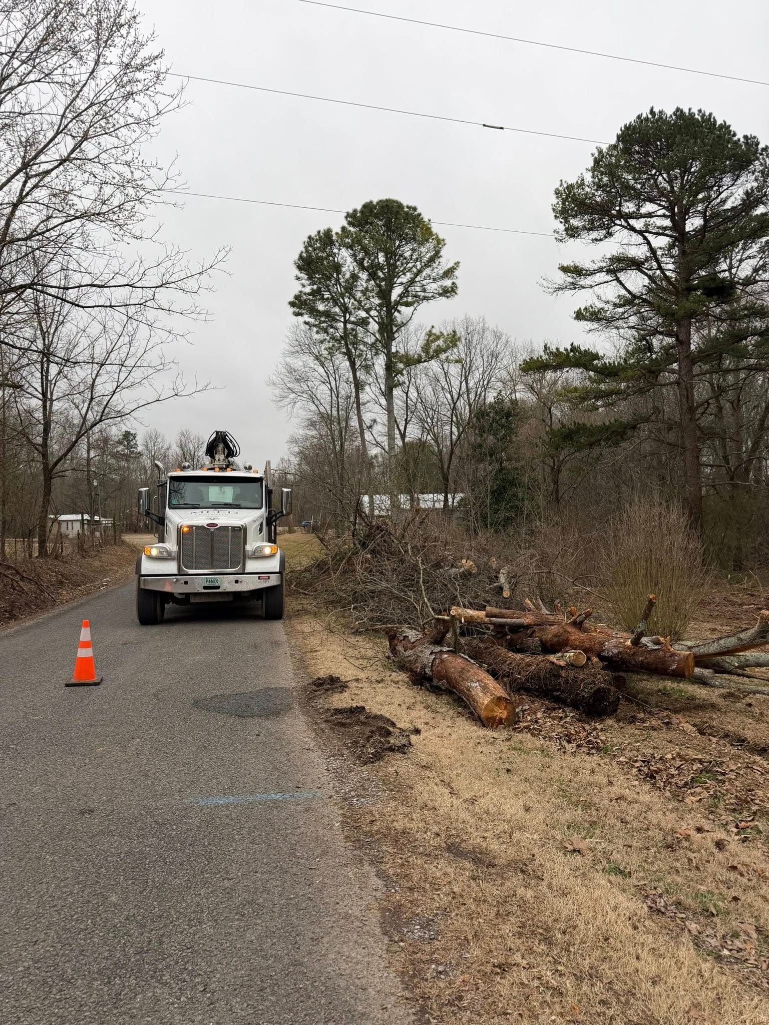 A white utility truck parked on the shoulder of a country road next to several freshly cut logs and tree branches.