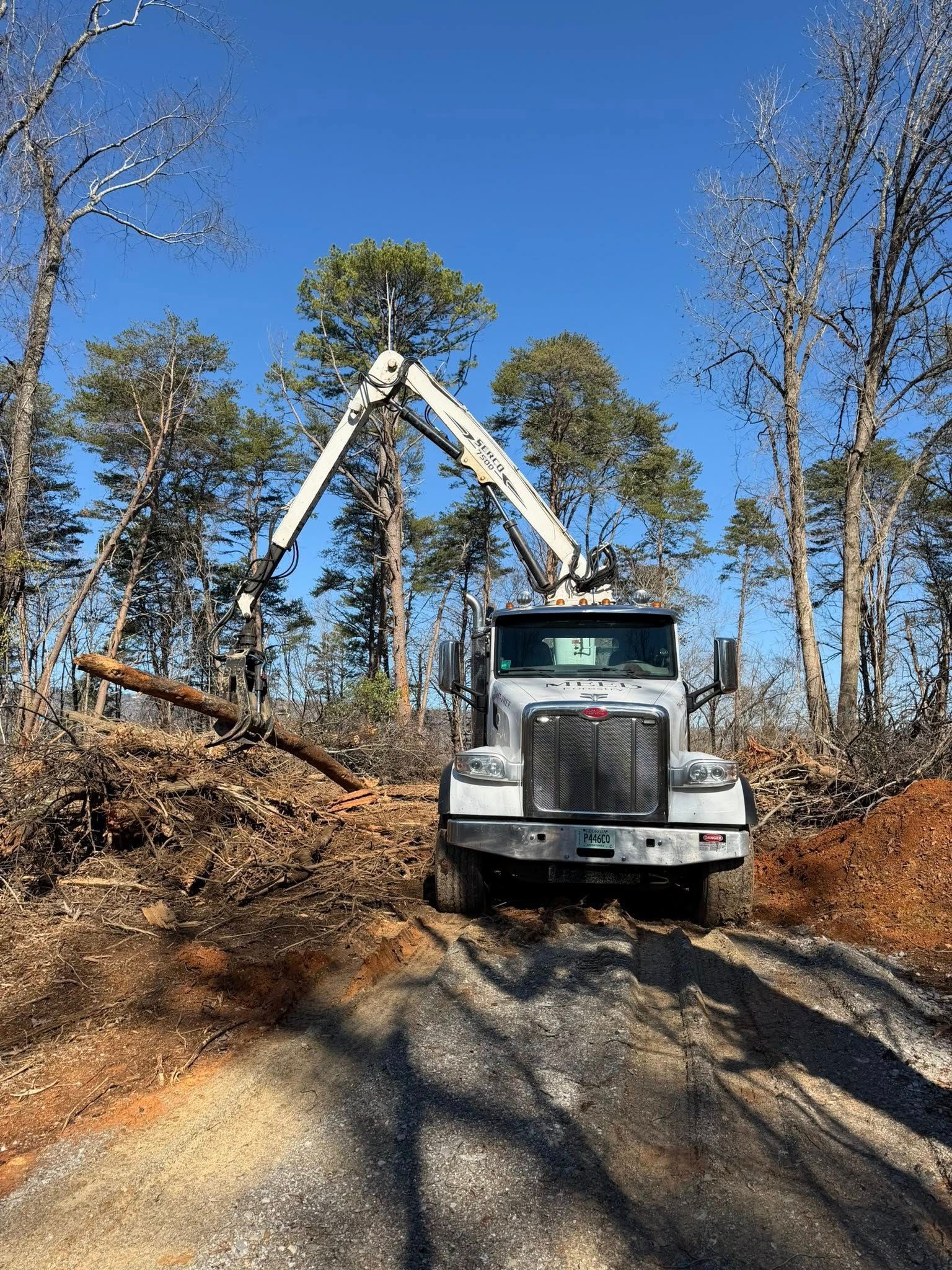 A white boom truck lifts a fallen log in a clearing surrounded by trees under a clear blue sky.
