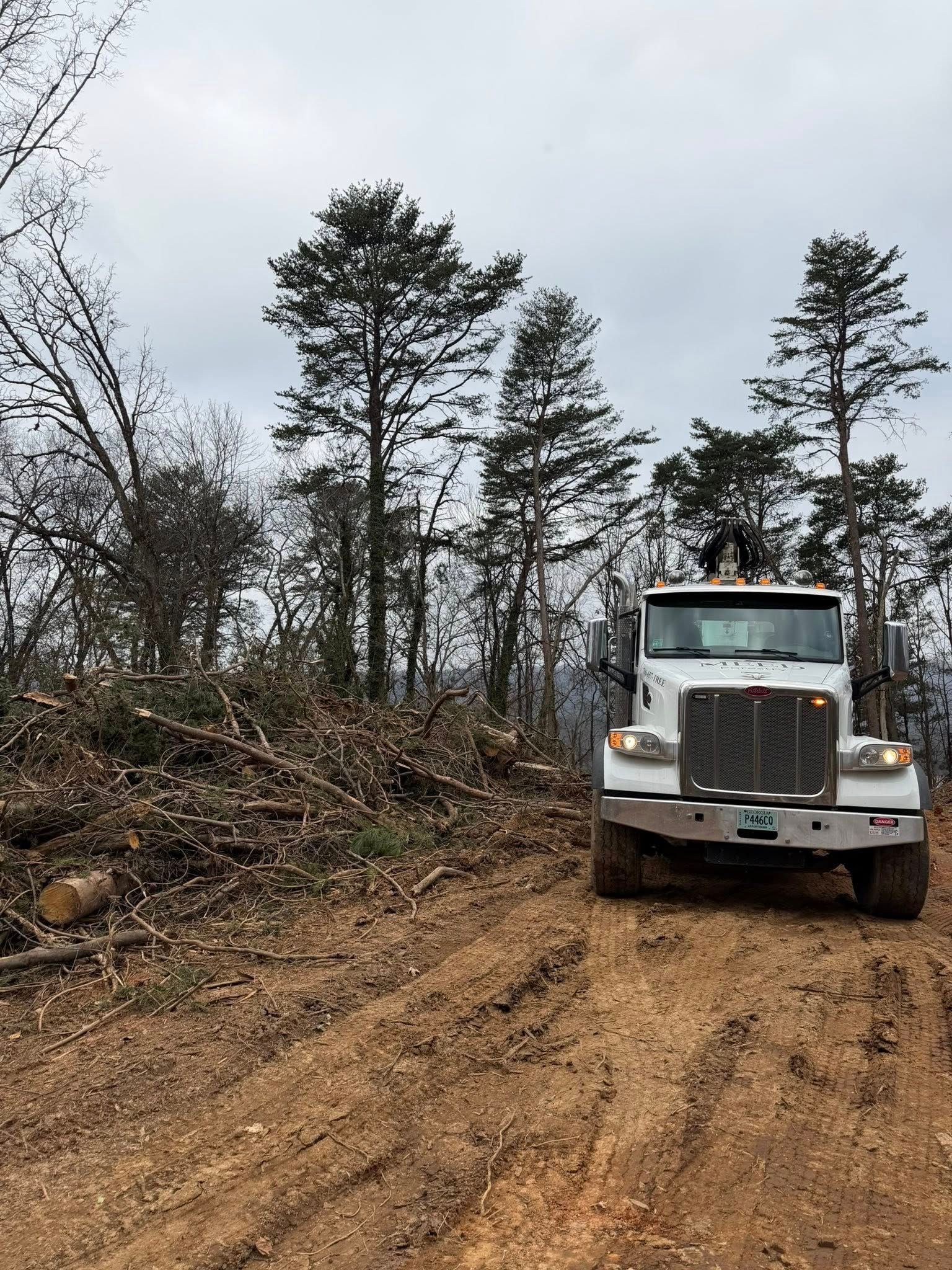 A white semi-truck parked on a dirt logging road in a forested area with cleared brush and trees.