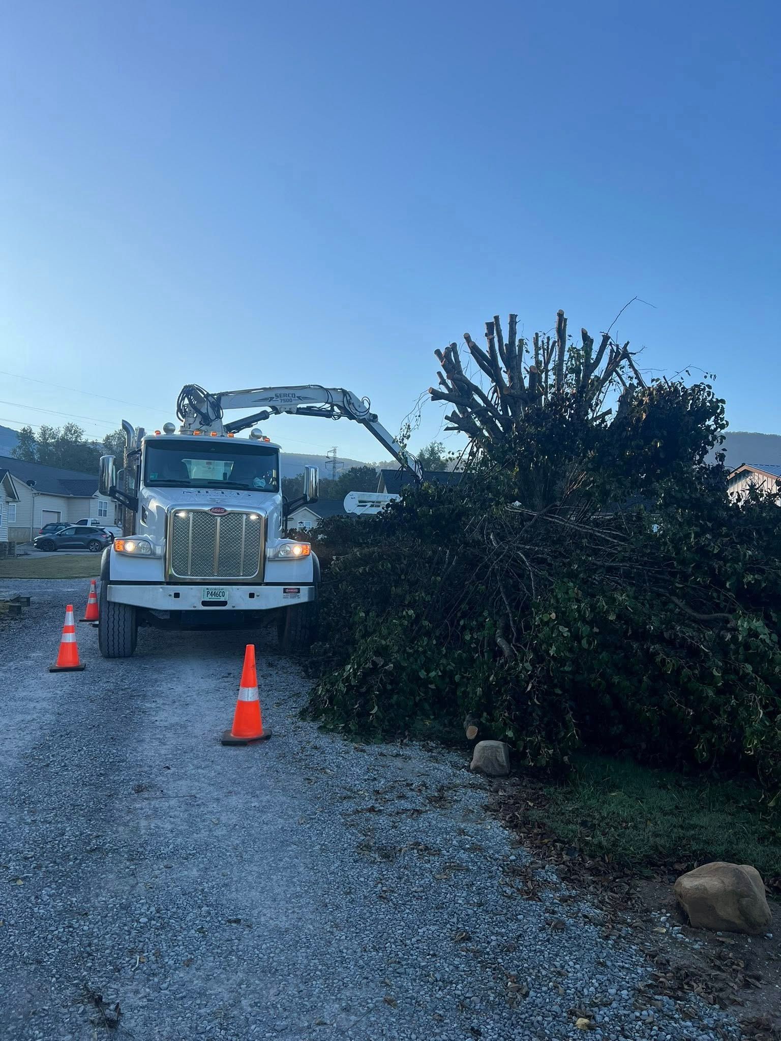 A white industrial truck with a boom arm sits on a gravel road next to a large, dense tree, with orange traffic cones nearby.