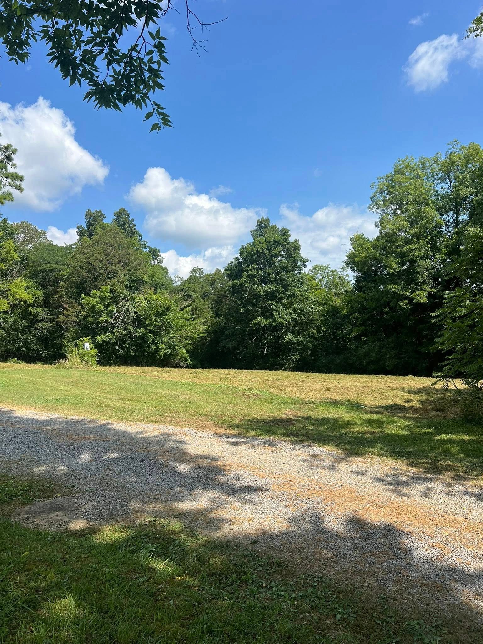 A gravel driveway leads to a grassy clearing bordered by dense green trees under a bright blue sky with scattered clouds.