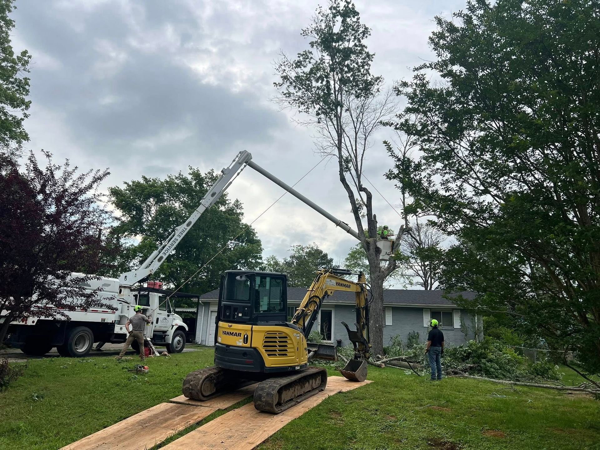 A crew works on tree removal using a yellow excavator and a white bucket truck in a residential yard.