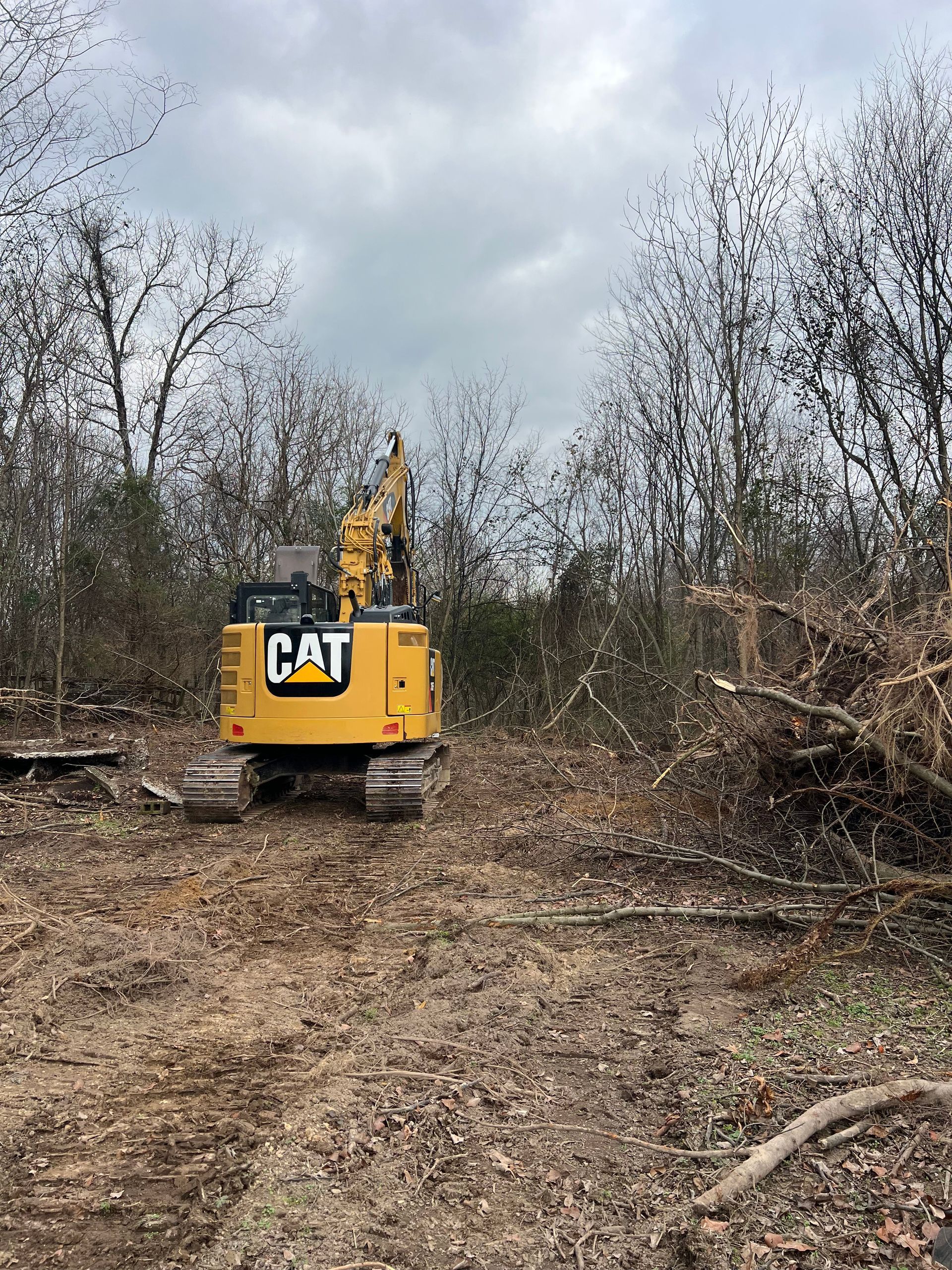 A yellow Caterpillar excavator parked in a forest clearing surrounded by cleared brush under a cloudy sky.