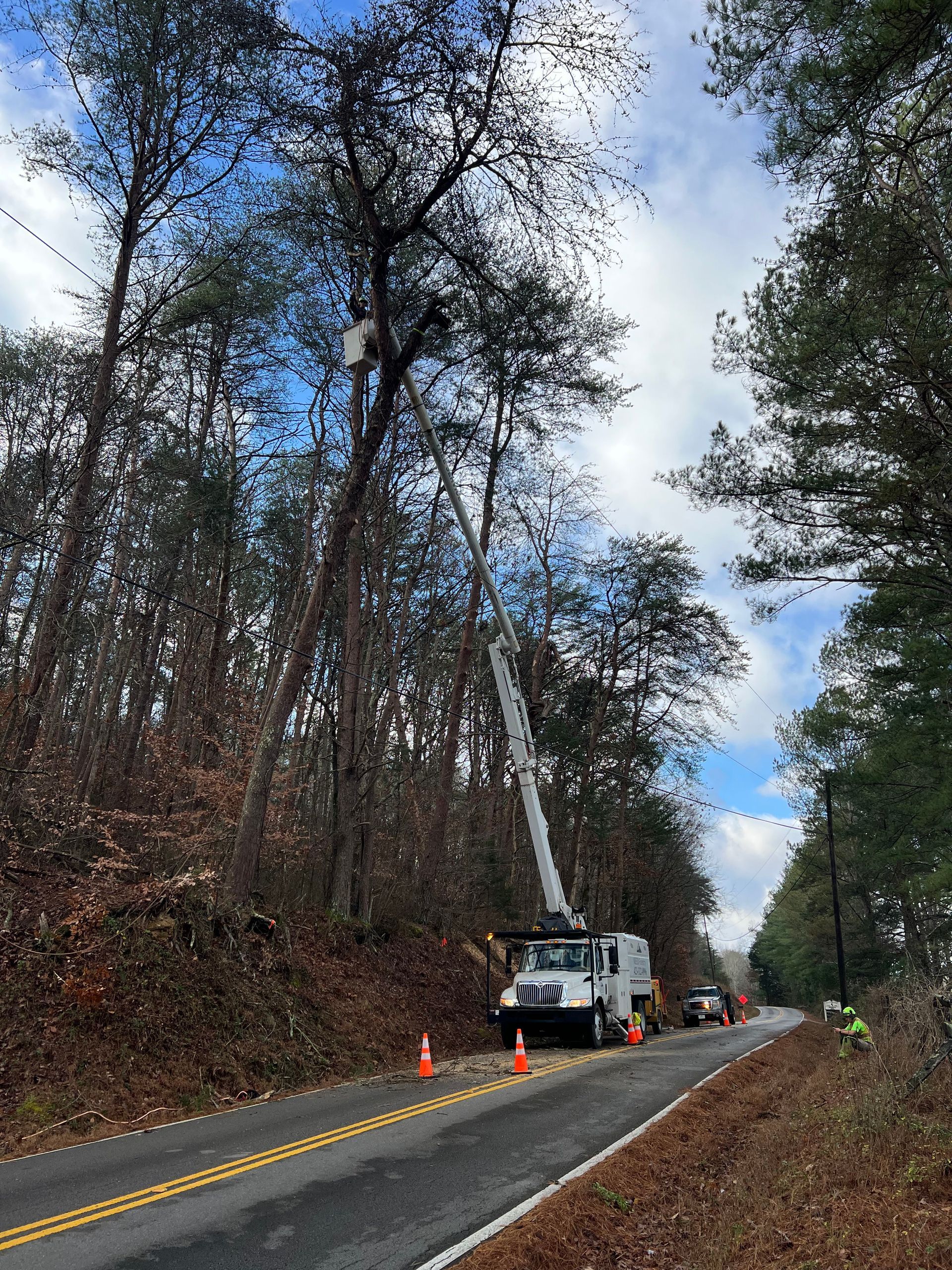 A utility truck with an extended boom bucket parked on a rural road, with a worker trimming branches in the tall trees.