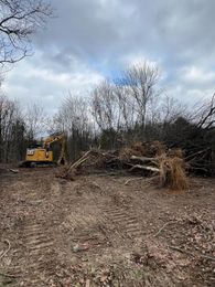 A yellow excavator works in a clearing filled with fallen trees and brush under a cloudy sky.