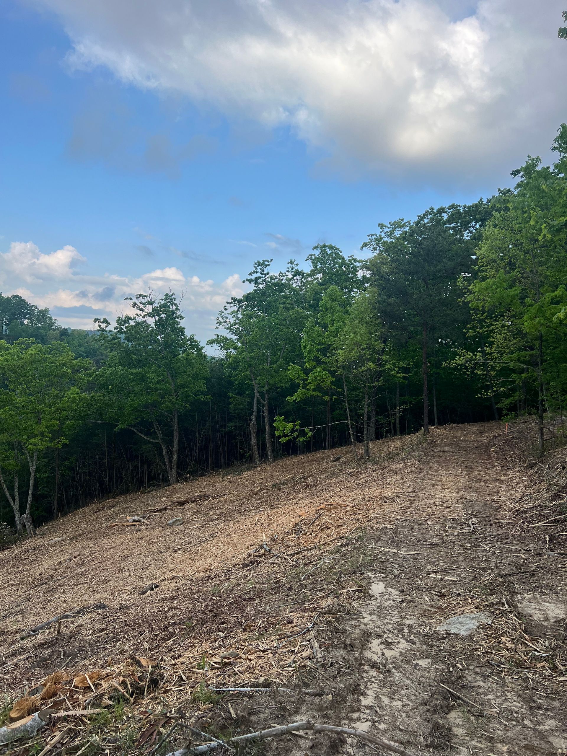 A cleared, sloping dirt patch transitions into a dense line of lush green trees under a bright blue, cloudy sky.