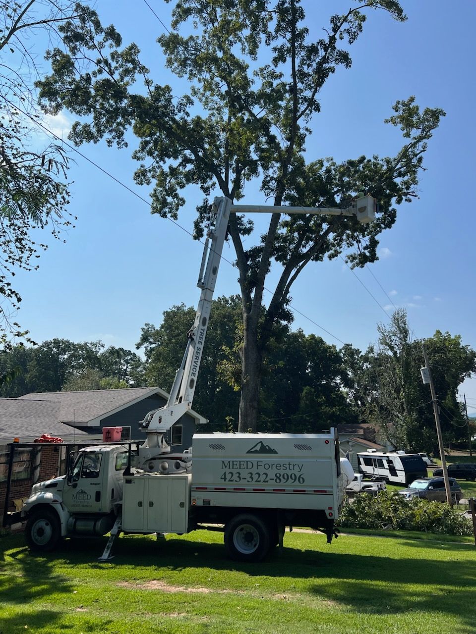 A white utility truck with an extended boom arm reaches toward a large tree in a grassy yard under a clear blue sky.