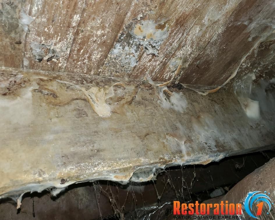 Thick, white, web-like mold growth covering wooden structural beams in a dark crawl space or basement.