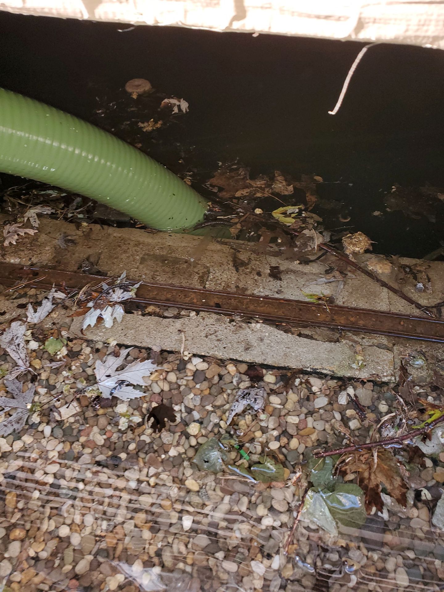 A green corrugated hose extends into a dark, debris-filled trench containing water, leaves, and rocks.