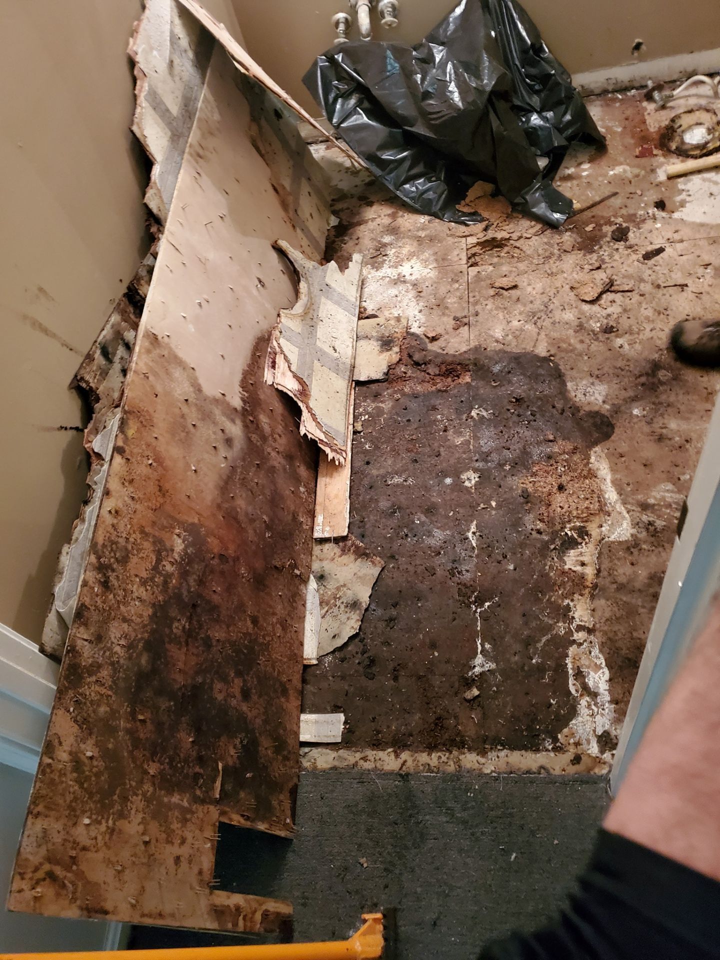 A damaged floor with water-stained wood boards and debris in a room under renovation.