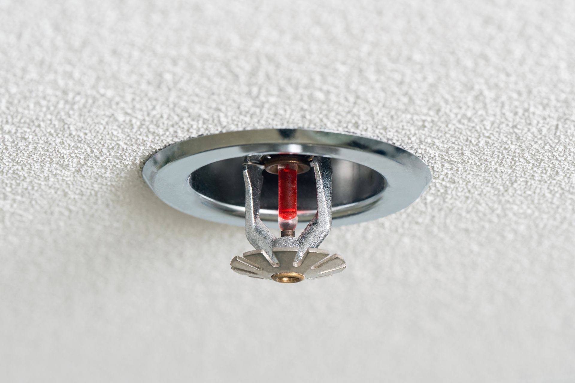 A chrome fire sprinkler head with a small red glass bulb, mounted flush against a textured white ceiling.