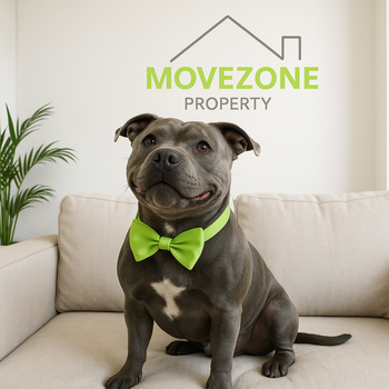 Gray dog with a bright green bow tie sitting on a beige couch under a Movezone Property logo