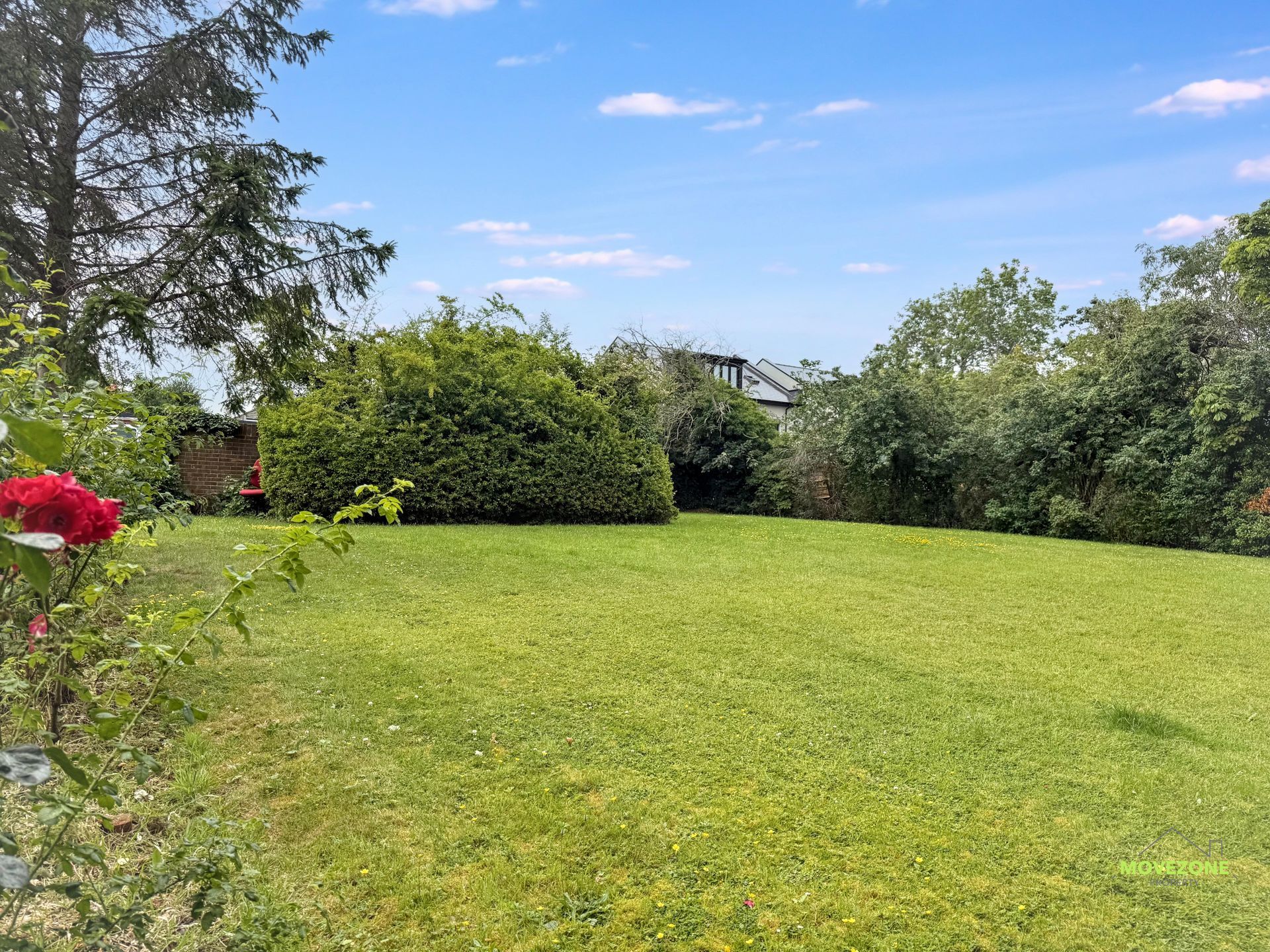 Lush green backyard lawn bordered by shrubs and trees under a blue sky, with red flowers at left.