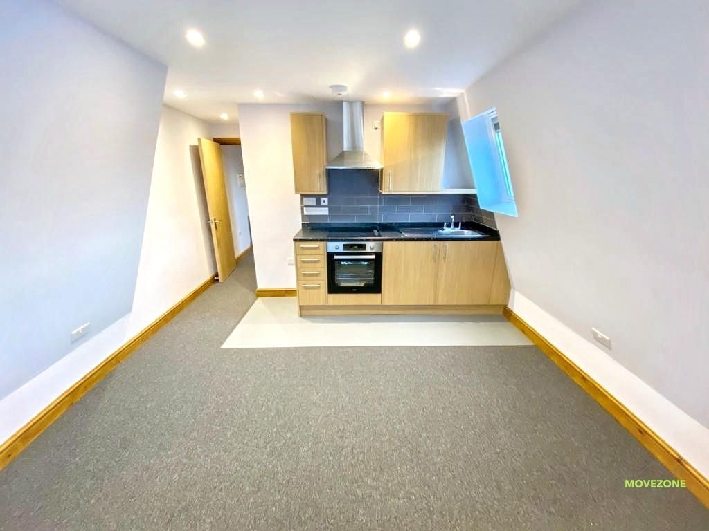 Empty studio apartment with gray carpet and a small modern kitchen at the far end