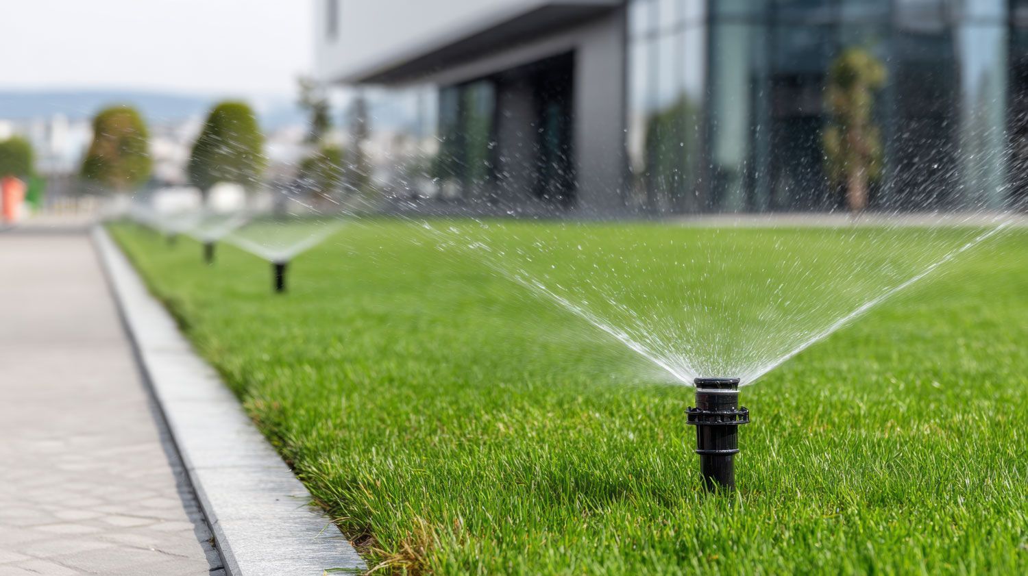 Sprinkler watering a green lawn beside a sidewalk and modern building