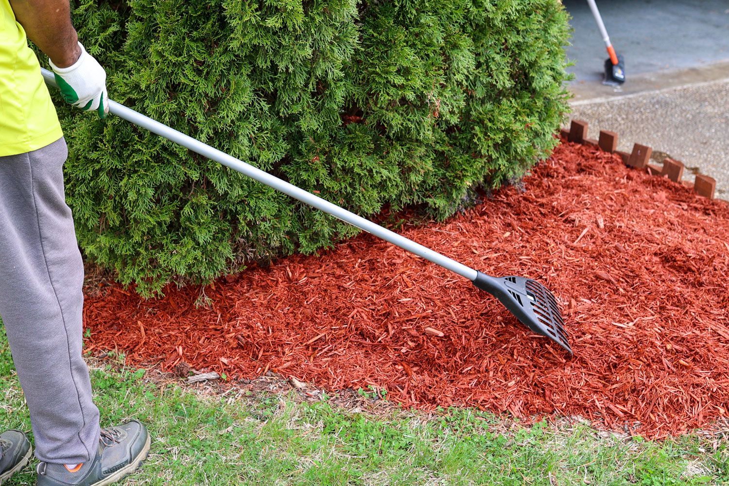 Person raking red mulch beside a green hedge in a garden, near a grassy lawn