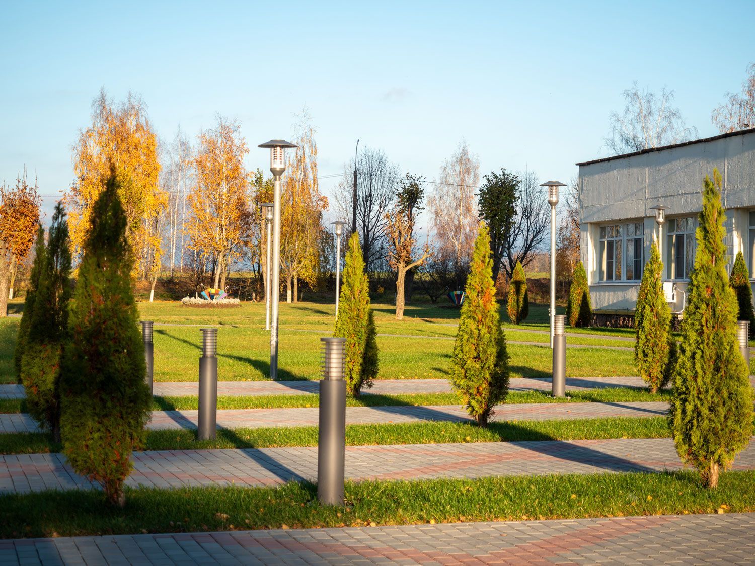 Sunlit park with young trees, paved paths, and modern buildings in the background