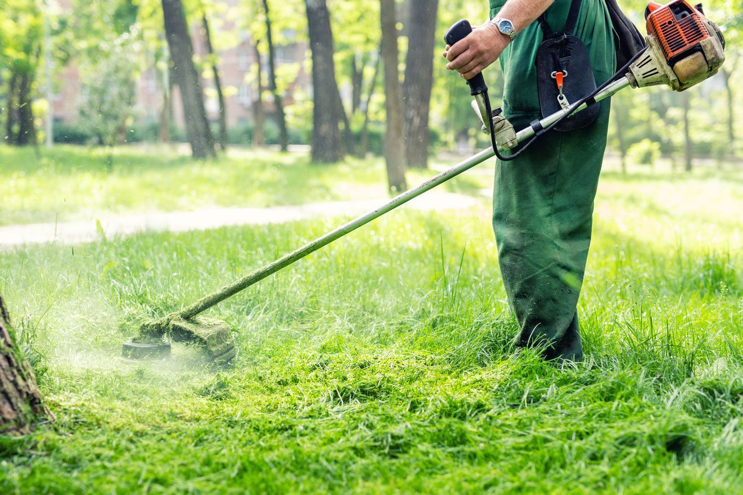 Person using a gas trimmer to cut grass in a green park