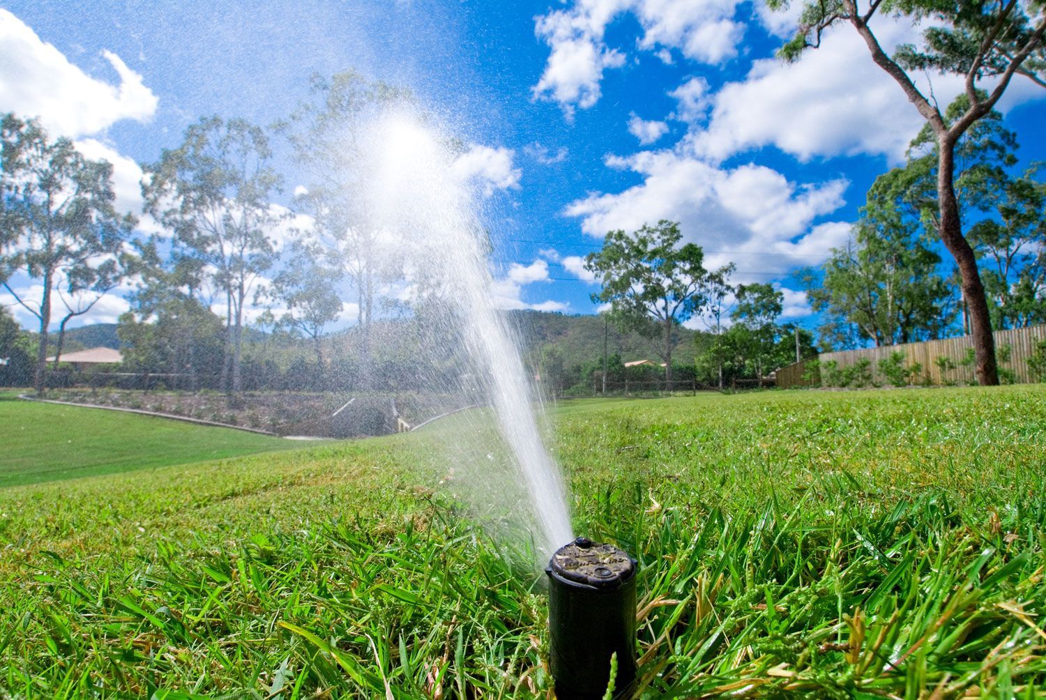 Sprinkler spraying water over a green field under a bright blue sky with clouds