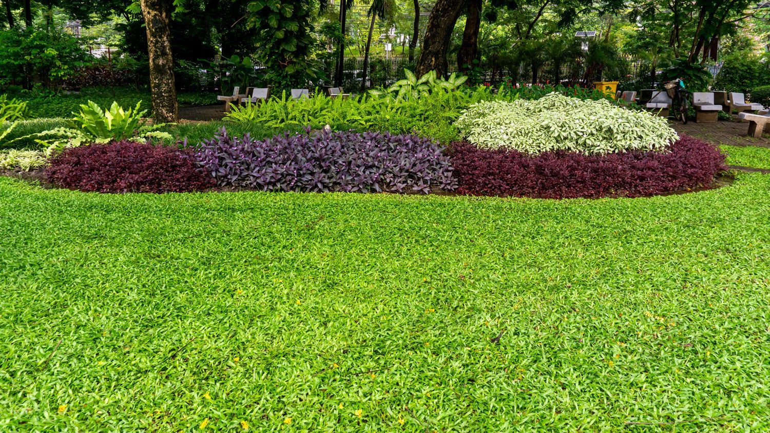 Colorful flower bed with purple, white, and red plants in a green park lawn