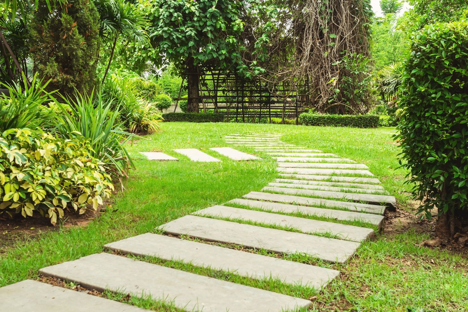 Curved stone stepping path through a lush green garden with trees and shrubs