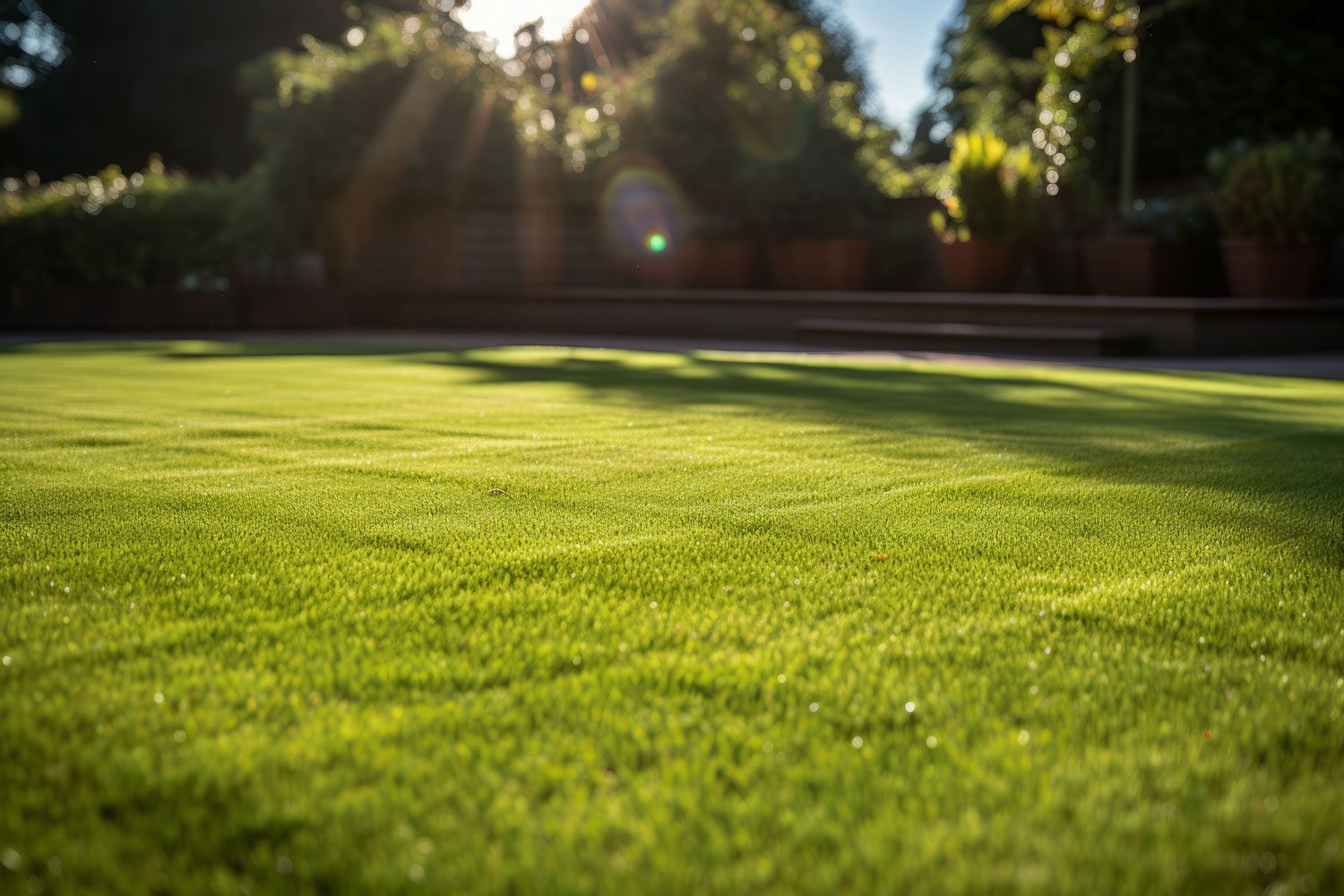 Sunlit green lawn with blurred trees and shrubs in the background
