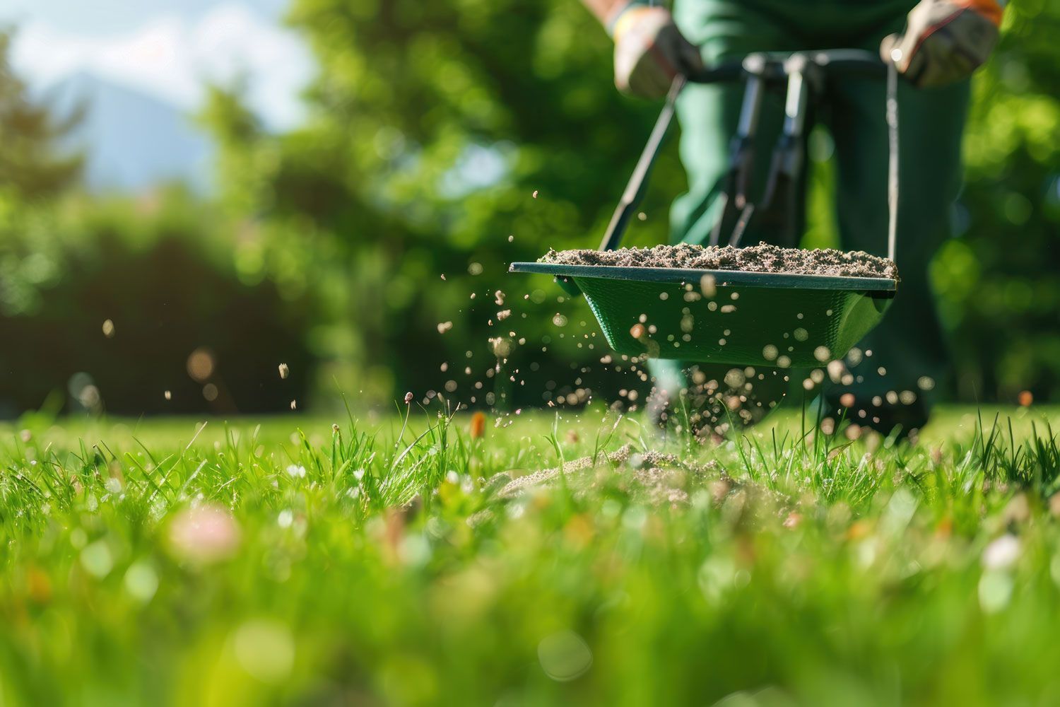 Person mowing a green lawn with a push mower, grass clippings flying in sunlight.