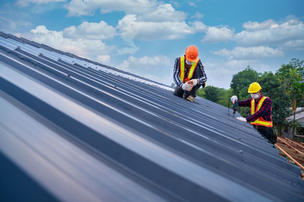 Two Workers Installing a Metal Roof — Gibson Plumbing & Roofing Pty Ltd in Gladstone Central, QLD