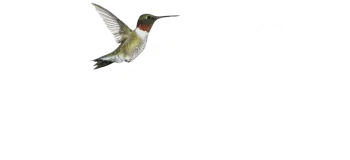 Raymer-Kepner logo