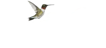 Raymer-Kepner logo