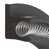 canted coil